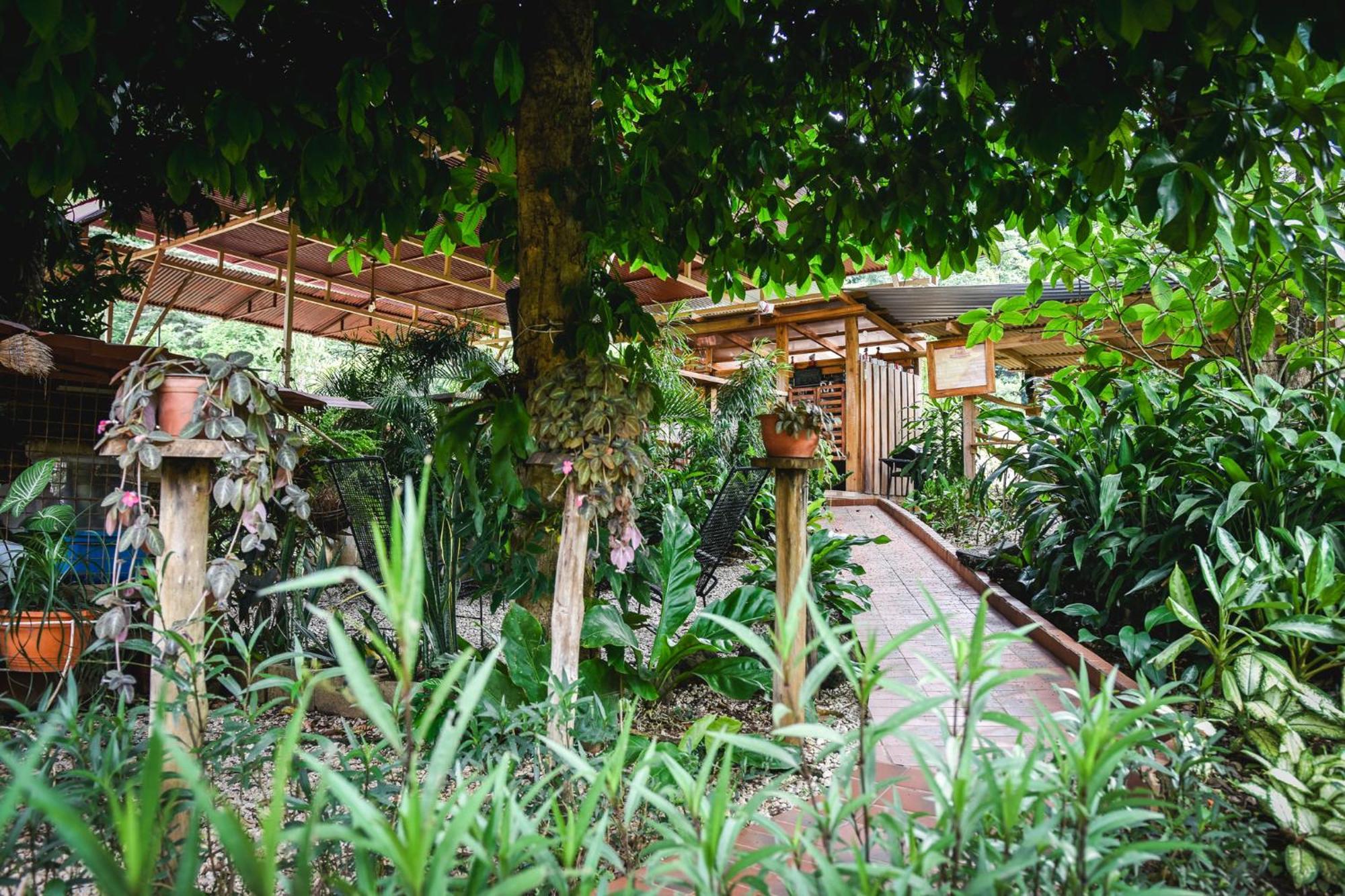 Casa Cora Bed&Breakfast Carmona Exterior foto